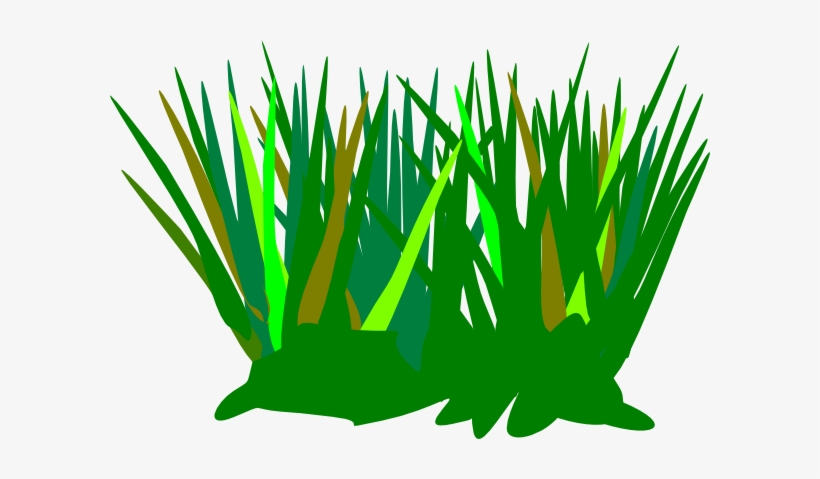 Green Tuft Clip Art At Clker Com - Grass Tuft Clipart, transparent png