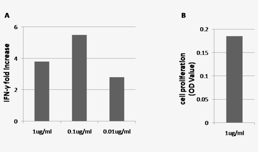Pd1 / Pdcd1 / Cd279 Neutralizing Antibody Images - Programmed Cell Death Protein 1, transparent png