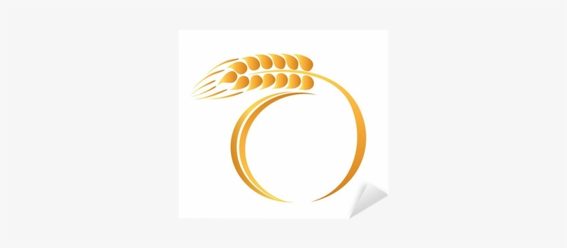 Wheat, transparent png