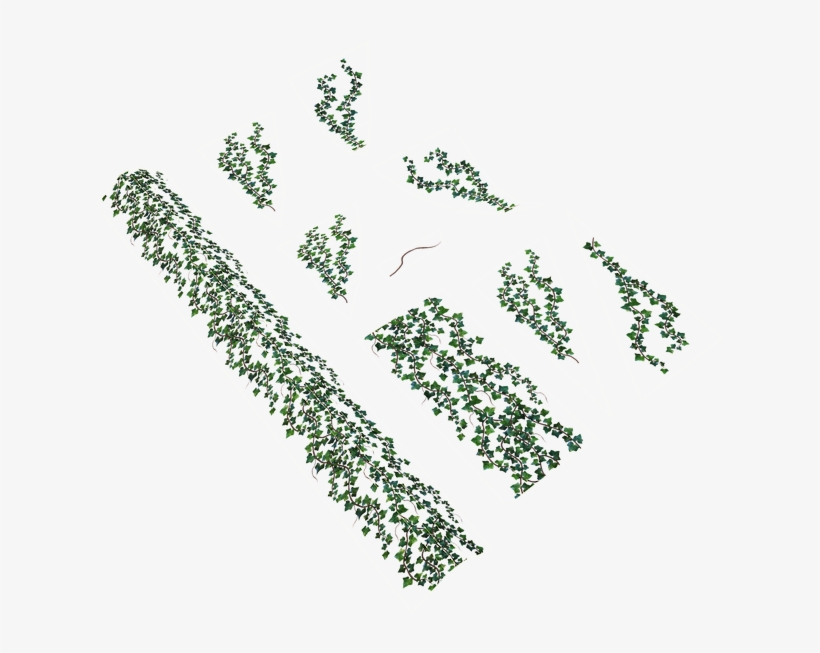 Ivy Texture In Marmorset - Tree, transparent png