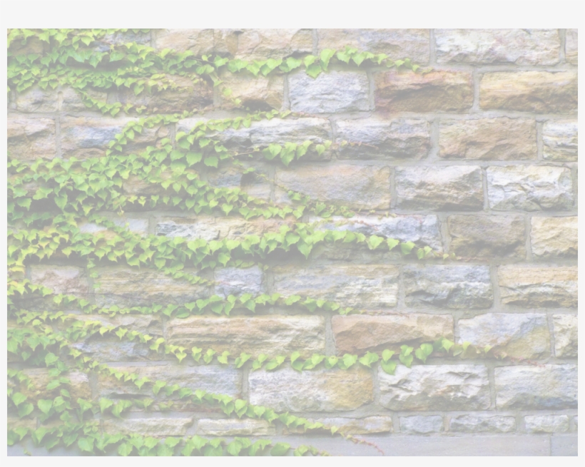 Ivy Wall Only, transparent png