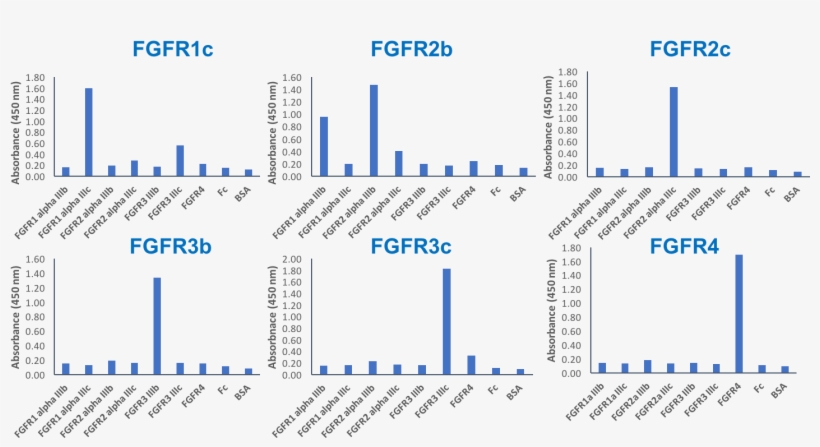 Isoform-specificity Of The Fgfr Antibody Panel - Diagram, transparent png