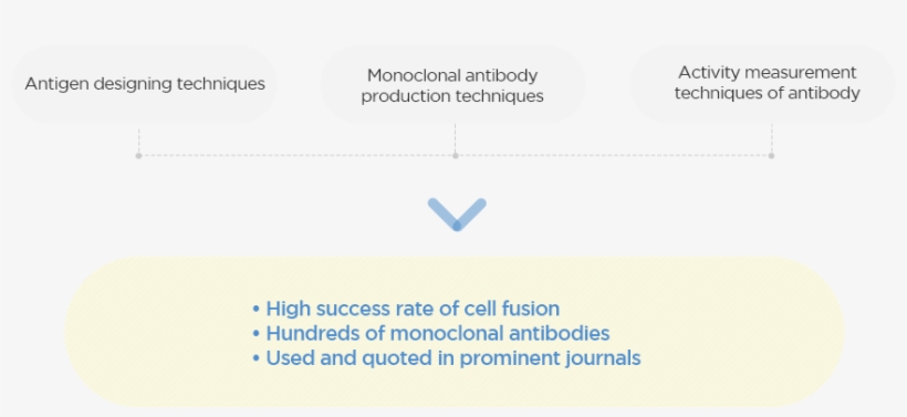What Is A Monoclonal Antibody - Atgen, transparent png