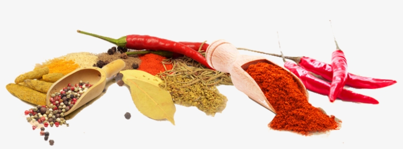 Who We Are - The Shah Jahan, transparent png