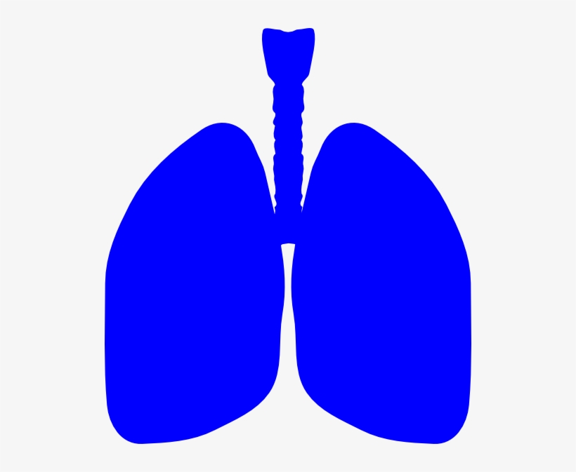 Lung Patient Celebration Image Svg Clip Arts 522 X, transparent png