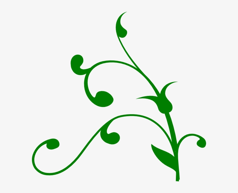 Twisted Vine, transparent png