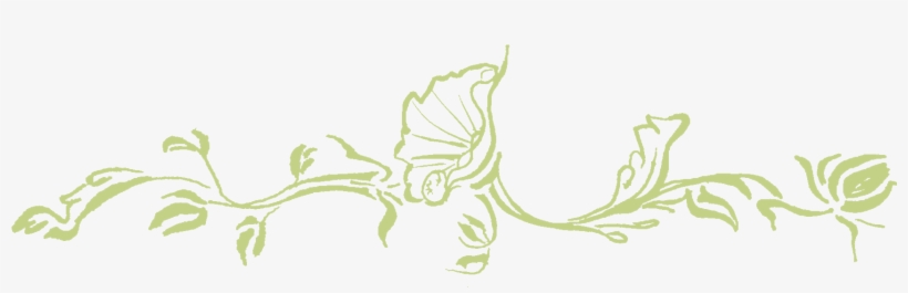 Horizontal Vine Png - Green Vine Clip Png, transparent png