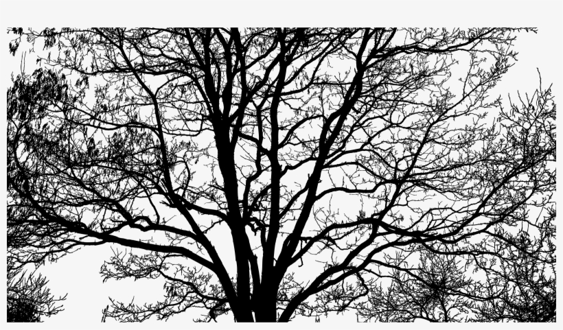 This Free Icons Png Design Of Intricate Tree Silhouette, transparent png