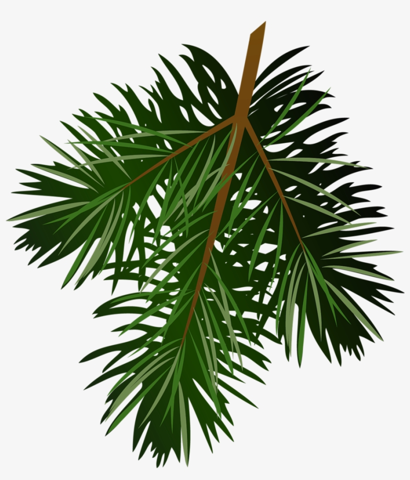Pine Branch Silhouette 21 - Clip Art Transparent Pine Cone, transparent png