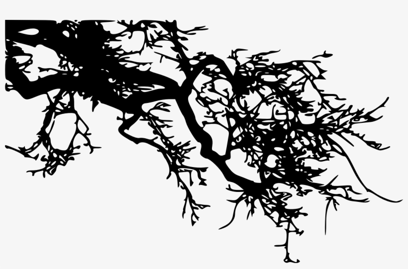Tree Branch Silhouette Png Download - Art, transparent png