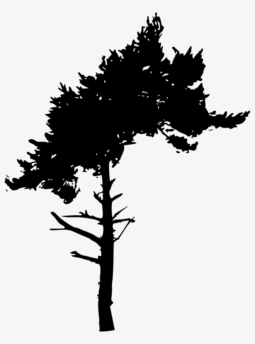 Png Image Information - Portable Network Graphics, transparent png