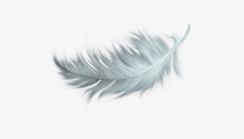 White Feather Tattoos, Feather Pen Tattoo, Feather - White Feathers Falling Png, transparent png