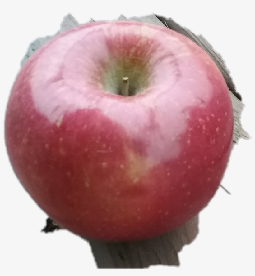 Poisonedapple Thefamilyof Evilqueen Snowwhite Descendants - Mcintosh, transparent png