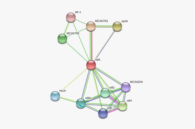 Circle, transparent png