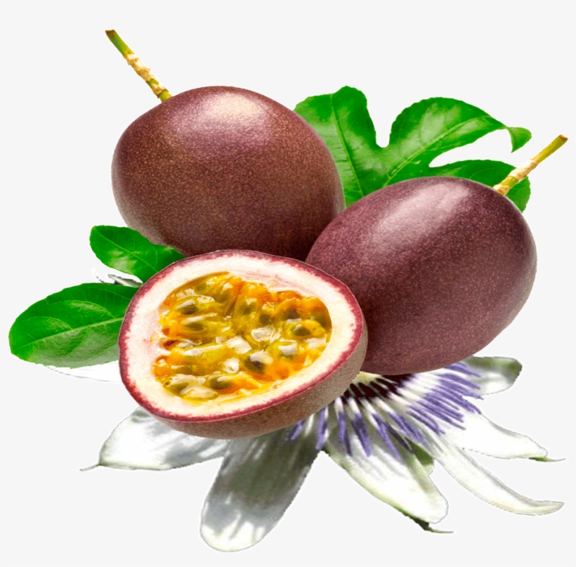 Passion Fruit Seed Png, transparent png