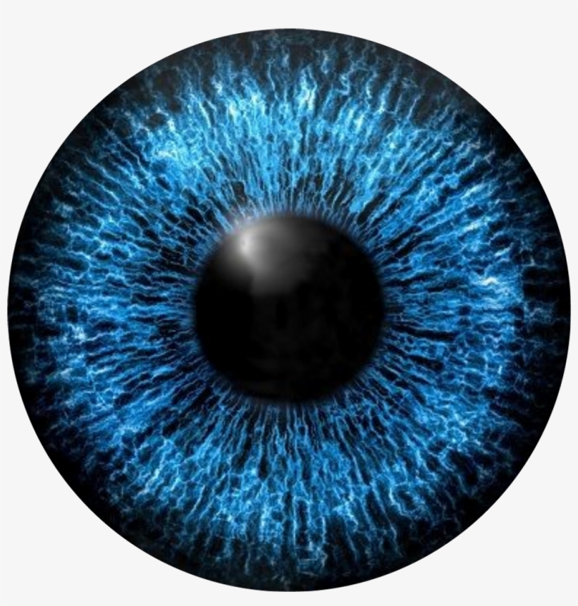 Blue Eyes Eye Sticker By Rajon Ahmed - Eye Pupil Vector, transparent png