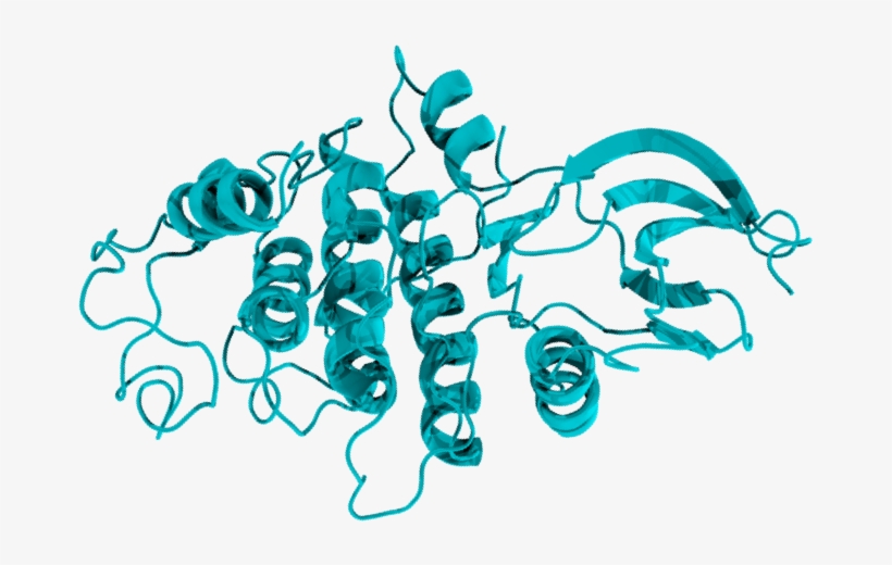 We Offer Custom Bams Assay Development Services To - Graphic Design, transparent png