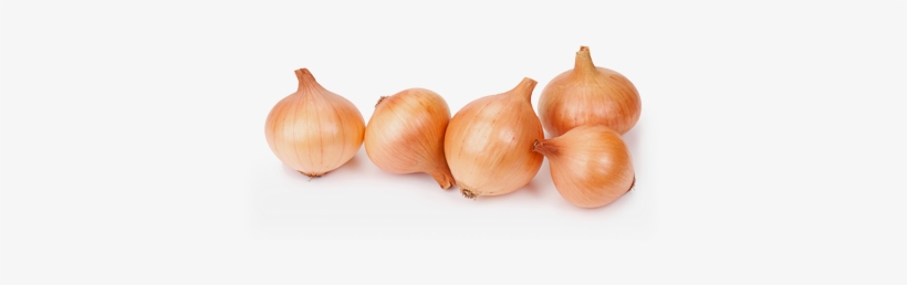 The Products Dedicated To Horeca Sector - Yellow Onion, transparent png