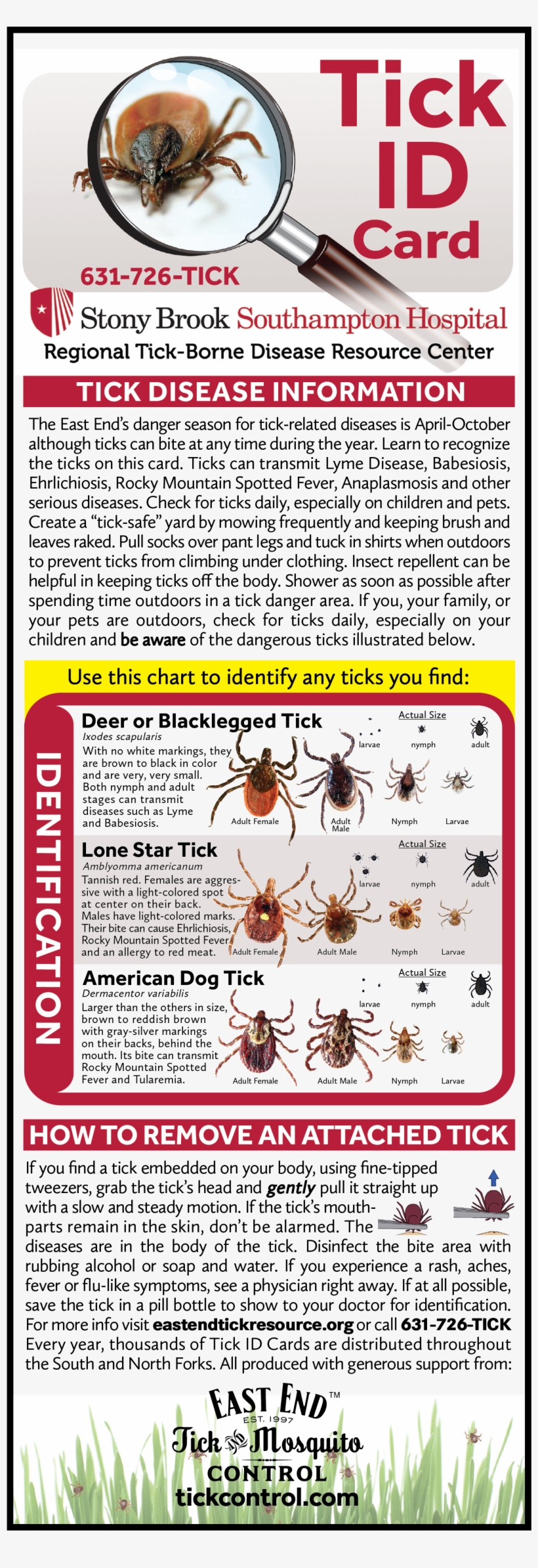 Tick Types On Long Island - Deer Tick, transparent png