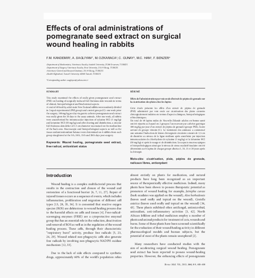 Pdf - Folio Six From Burchard Of Sion's De Locis Ac Mirabilibus, transparent png