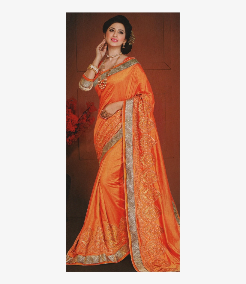 Abhinandan Embroidery Raw Silk Saree - Sari, transparent png