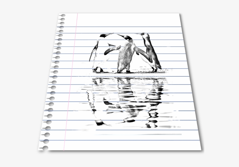 Already Had The Line And Hole Brushes Made Opened Penguin - Emperor Penguin, transparent png