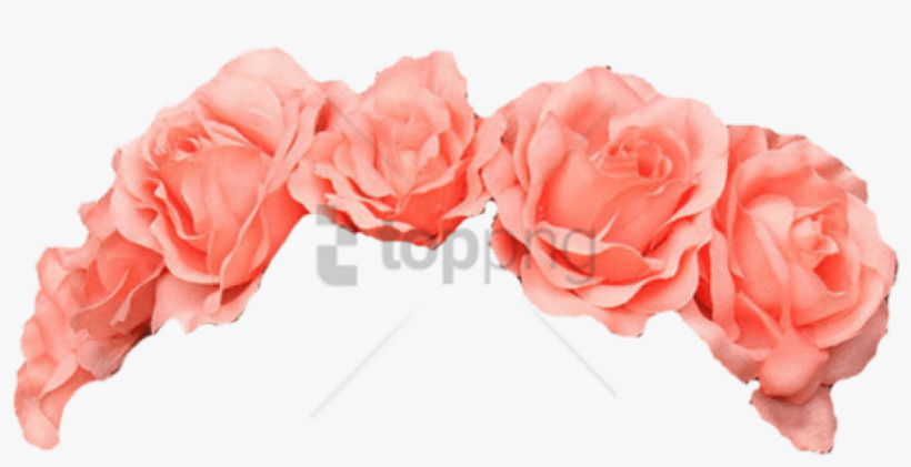 Free Flower Crown Transparent Overlay Tumblr Image - Flower Crown Png Pink, transparent png