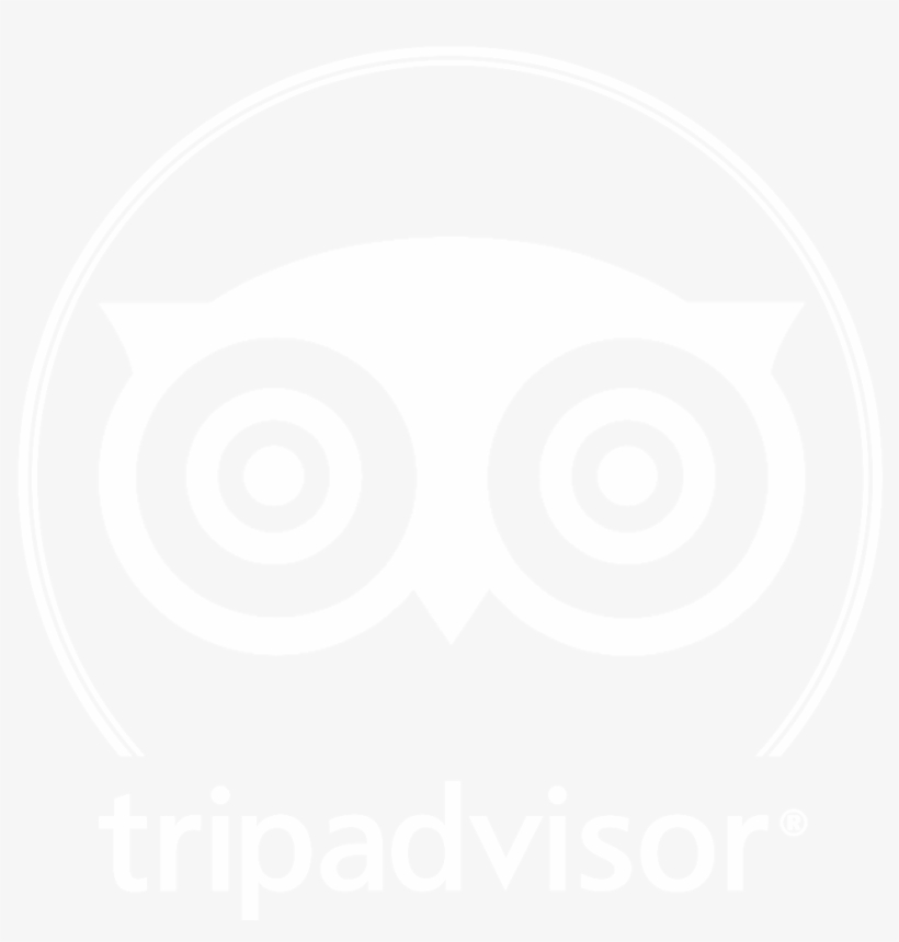 About Éco Tours Montreal - Tripadvisor Llc, transparent png