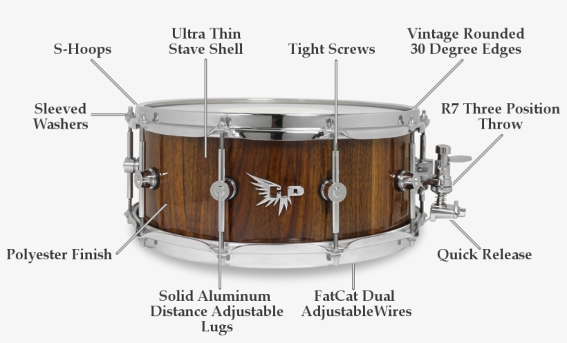 Archetype Snare Features - Snare Drum Structure, transparent png