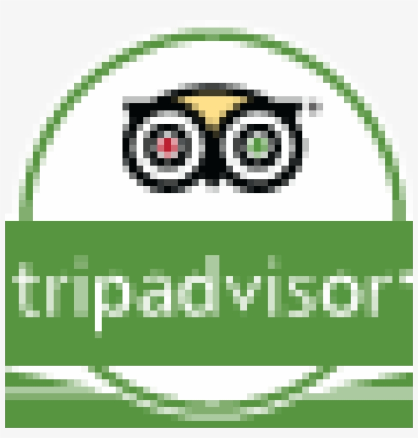 Trip Advisor Png - Tripadvisor, transparent png