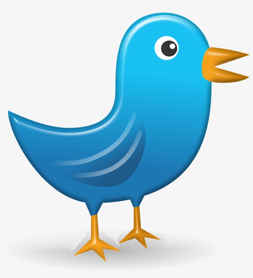 Twitter Icon Web Network Bird Png Image - Bird Tweet, transparent png