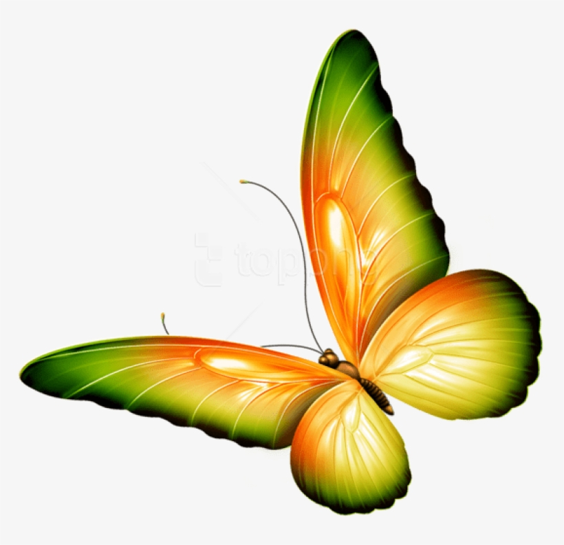 Free Png Download Yellow And Green Transparent Butterfly - Transparent Background Butterfly Clipart, transparent png