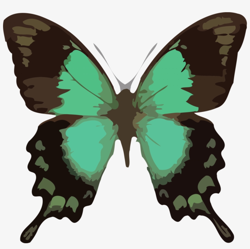 Butterfly Png Clipart Download Png - Barclay James Harvest Through The Eyes Of John Lees, transparent png