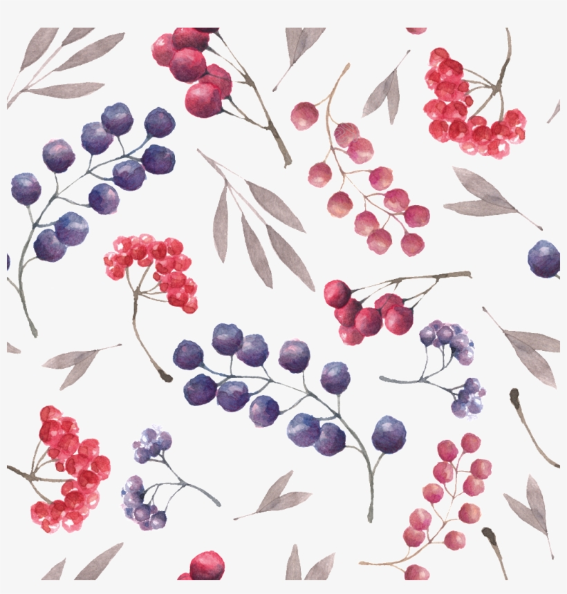 Berry Vector Cherry Fruit - Currant, transparent png