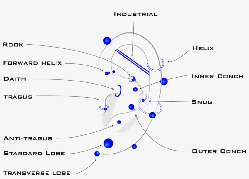 Types Of Piercings - Termoidraulica, transparent png