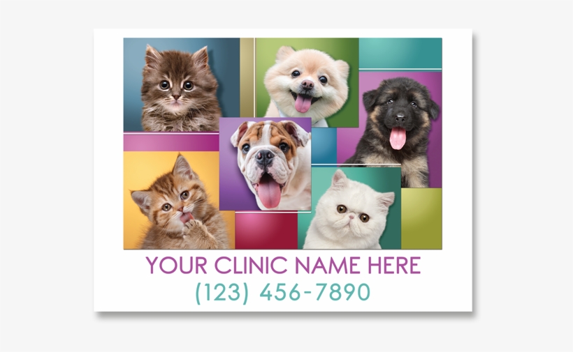 Yard Signs - Kitten, transparent png