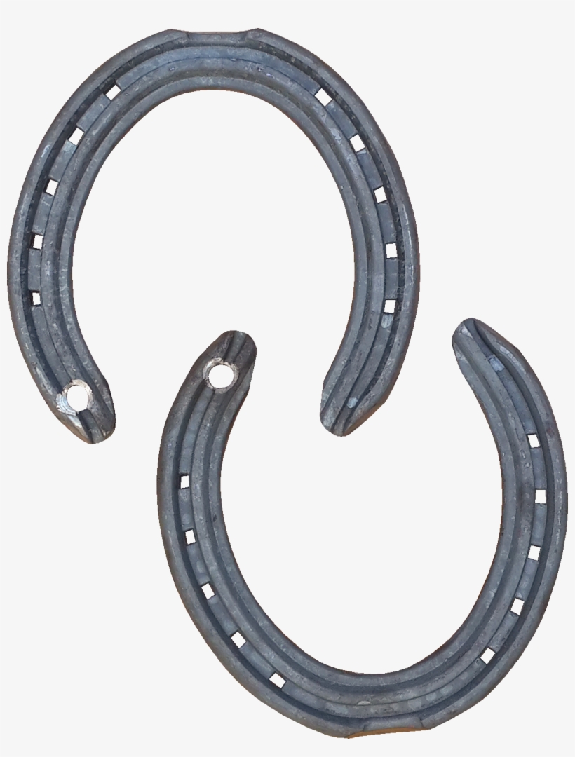 Herradura De Hierro Mustad Vareo Pata Con Clip Y Rosca - Window, transparent png