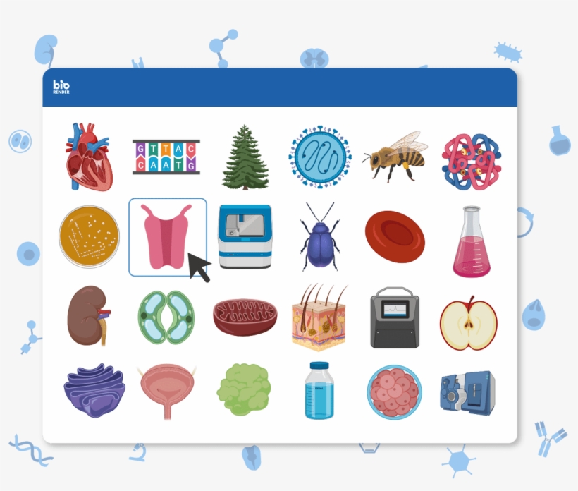 Thousands Of Biological Icons, transparent png