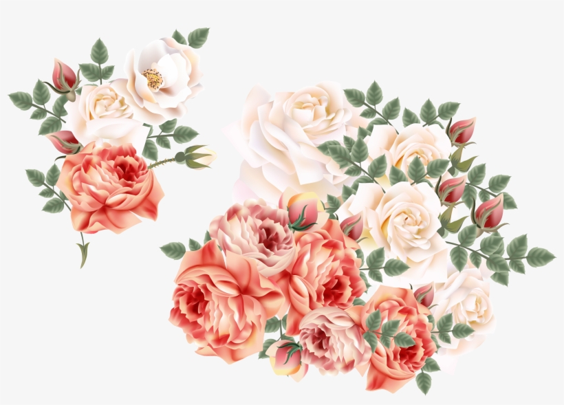 Garden Vector Flower - Floribunda, transparent png