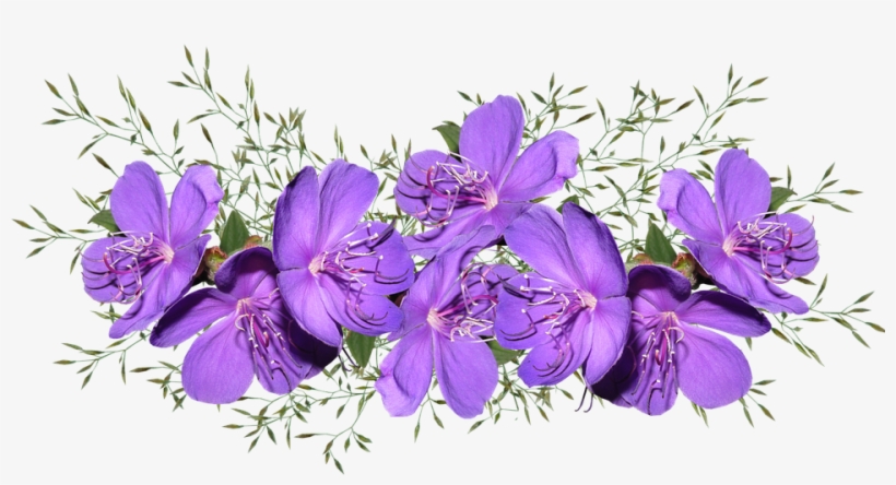 Flowers, Purple, Arrangement, Garden, Nature - Цветы Фиолетовые Png, transparent png