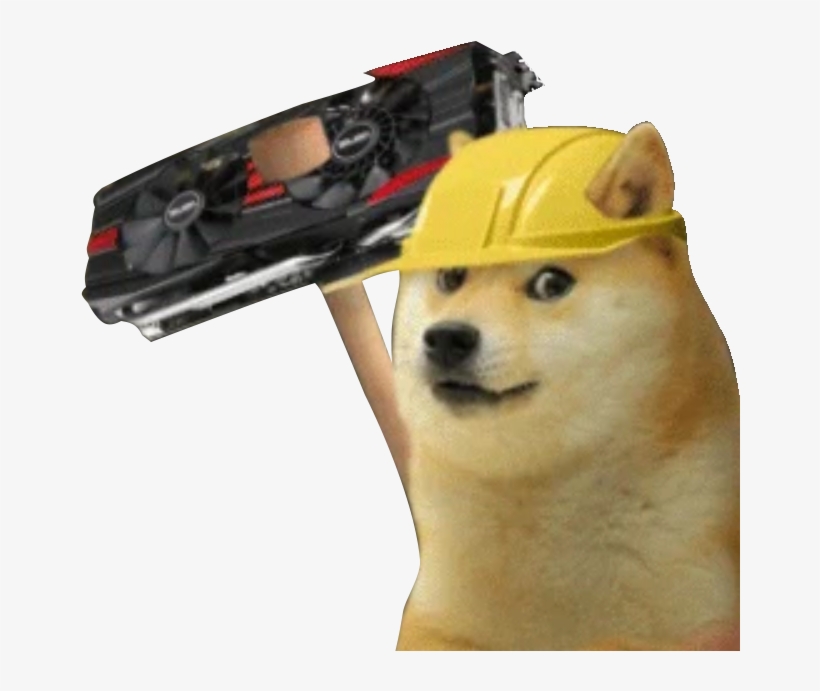 A Day In The Dogecoin Shibes Life 24/7 - Shiba Inu, transparent png