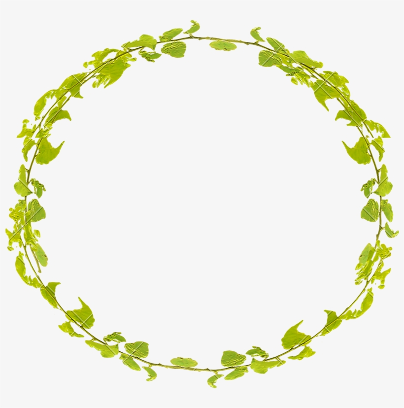 Ornament Photos By - Leaves Design Circle, transparent png