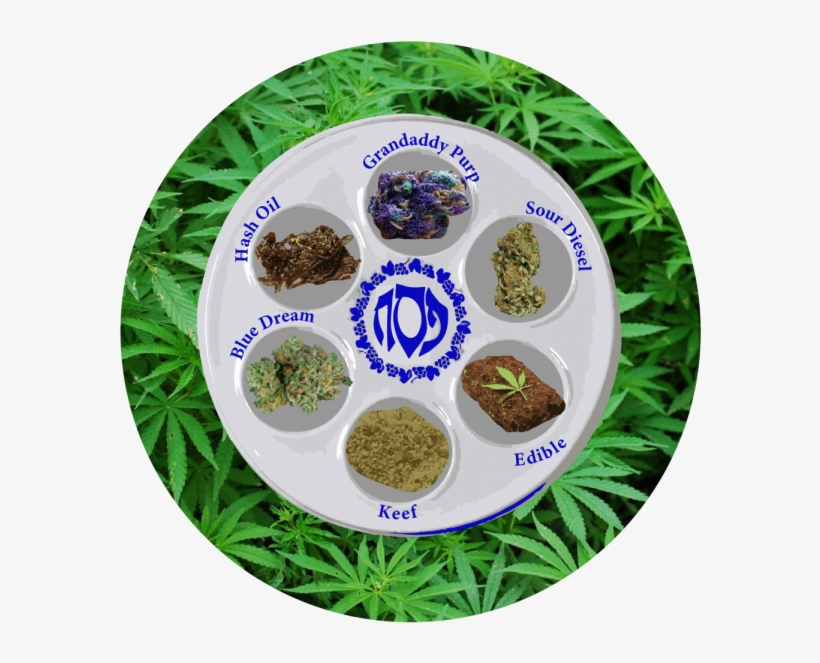 The Depaulia - Passover And 4 20, transparent png