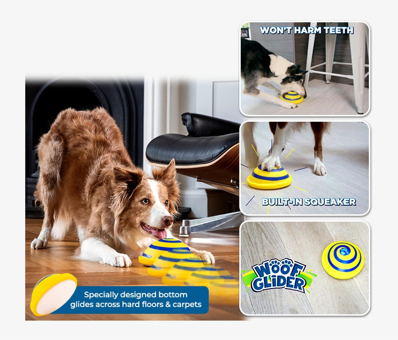 Dog Catches Something, transparent png