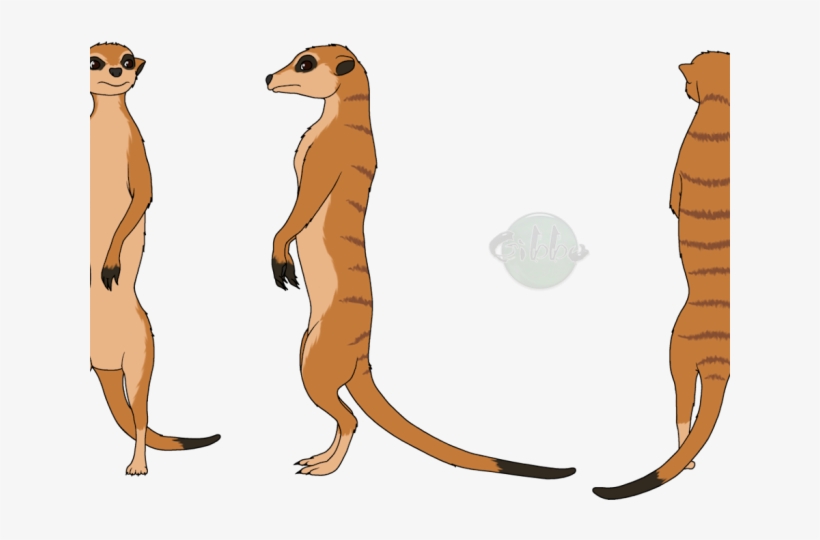 Meerkat Clipart Draw - Meerkat, transparent png