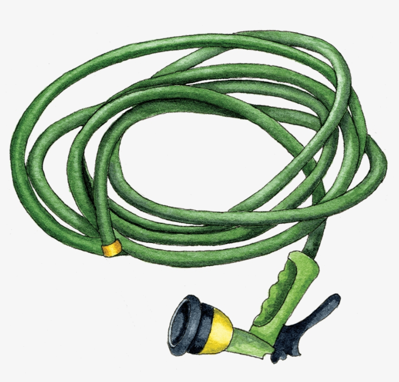 Illustration By Helen Krayenhoff - Wire, transparent png