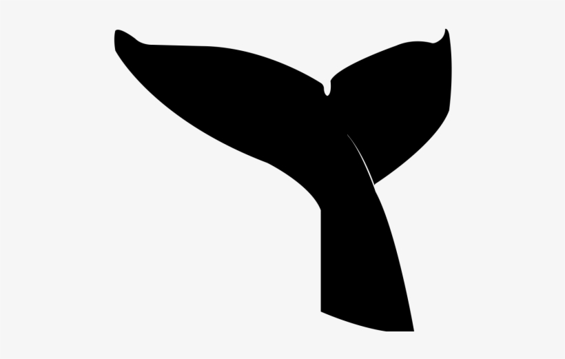 Sperm Whale Clipart Tale, transparent png