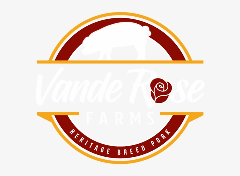 Circle, transparent png