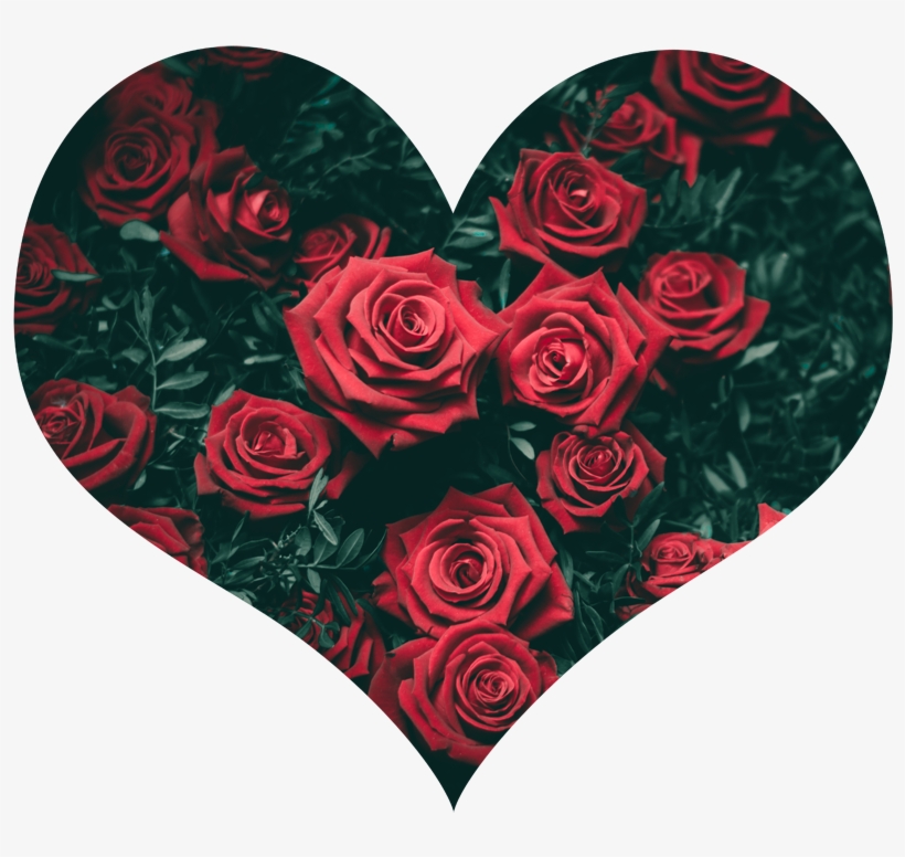 Small Heart 800×800 - Beautiful Images For Whatsapp, transparent png