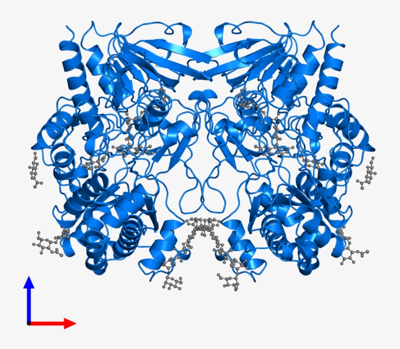 <div Class='caption-body'>pdb Entry 1gpe Contains 2 - Glucose Oxidase Png, transparent png